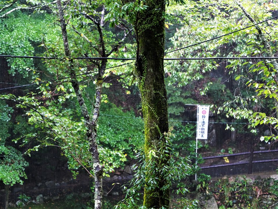 猿投温泉、川沿いのプロムナード
