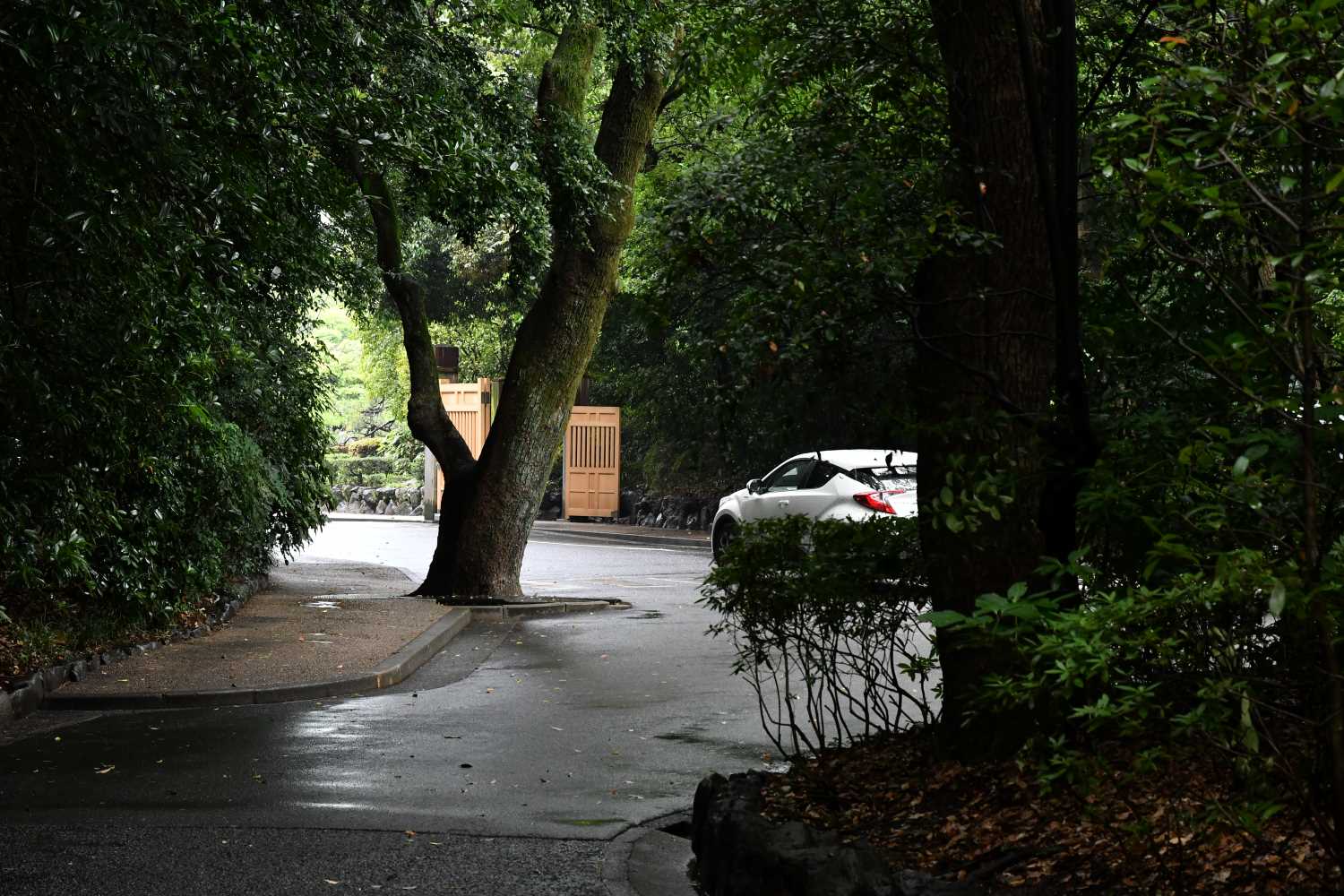 梅雨の雨と鎮まった空気の熱田神宮は 参拝に来た人の傘の彩りを深い森の静けさに取り込みます