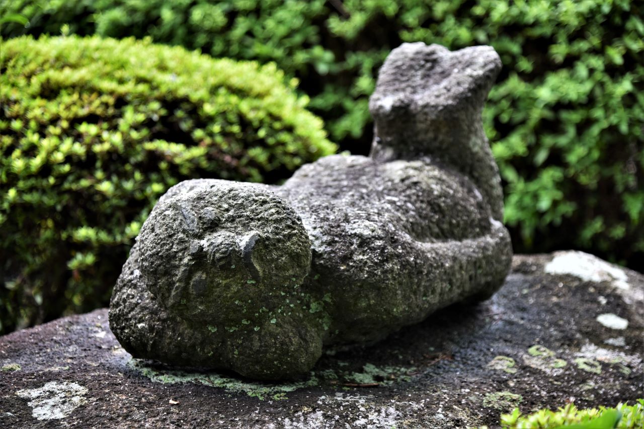 うつ伏せたまま、それも両足を揃えて足の裏を見せながらこっちを見ている羅漢像。