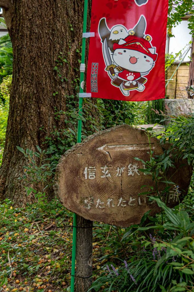 信玄包囲も定盈籠城奮戦