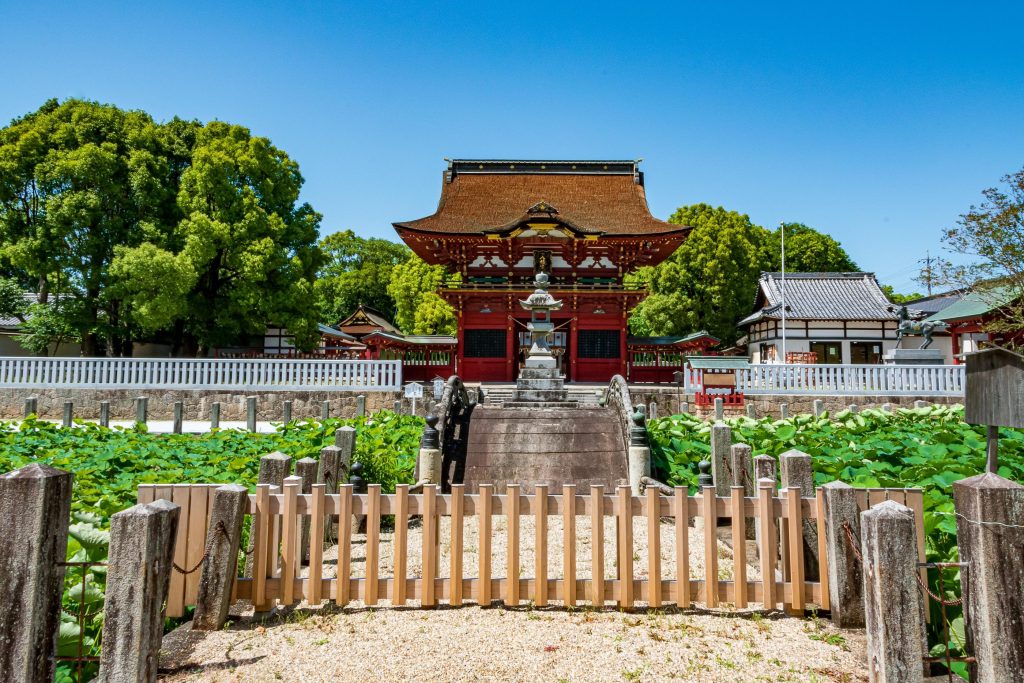 伊賀八幡宮の蓮の花