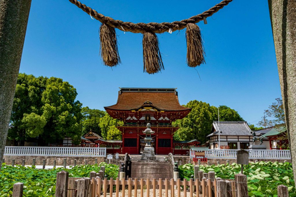 伊賀八幡宮の蓮の花
