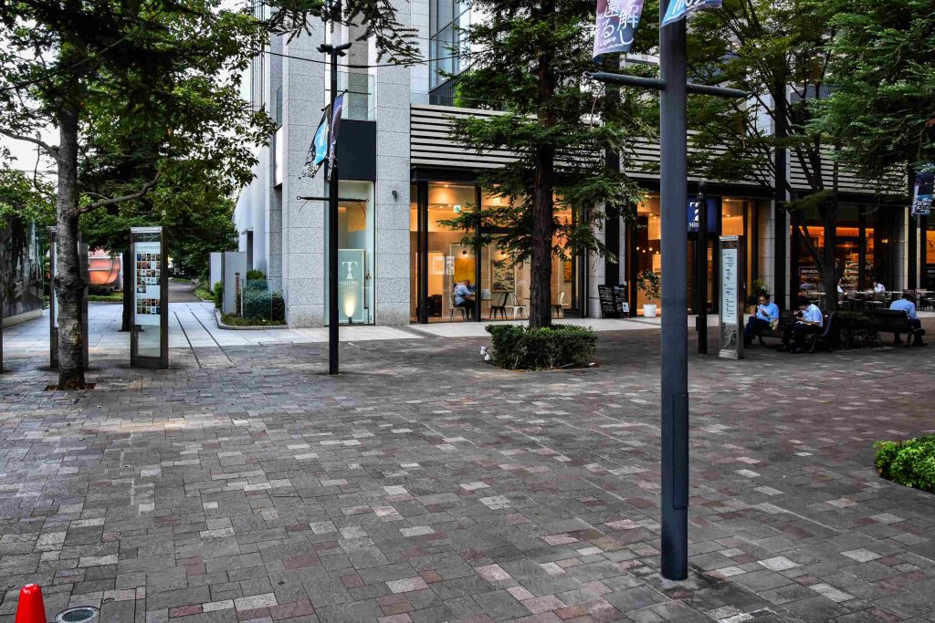 酒井雅楽頭家と左衛門尉家