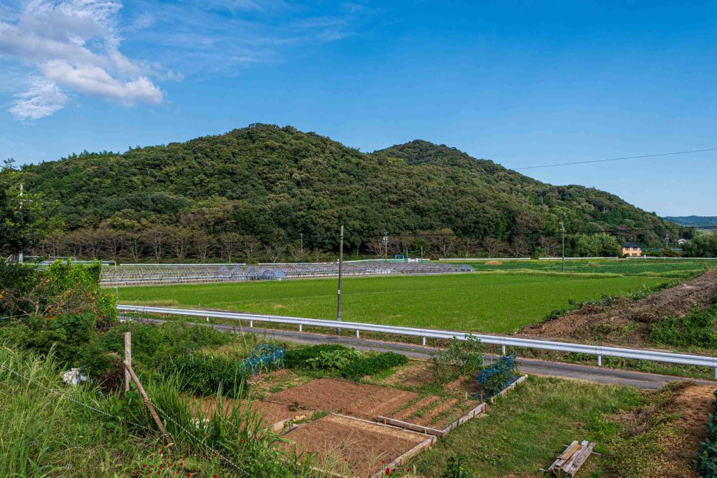 大久保彦左衛門のお墓参りをした