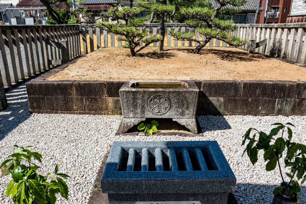 松平広忠の廟所松應寺に8歳の竹千代(家康)は松の木を植えた。