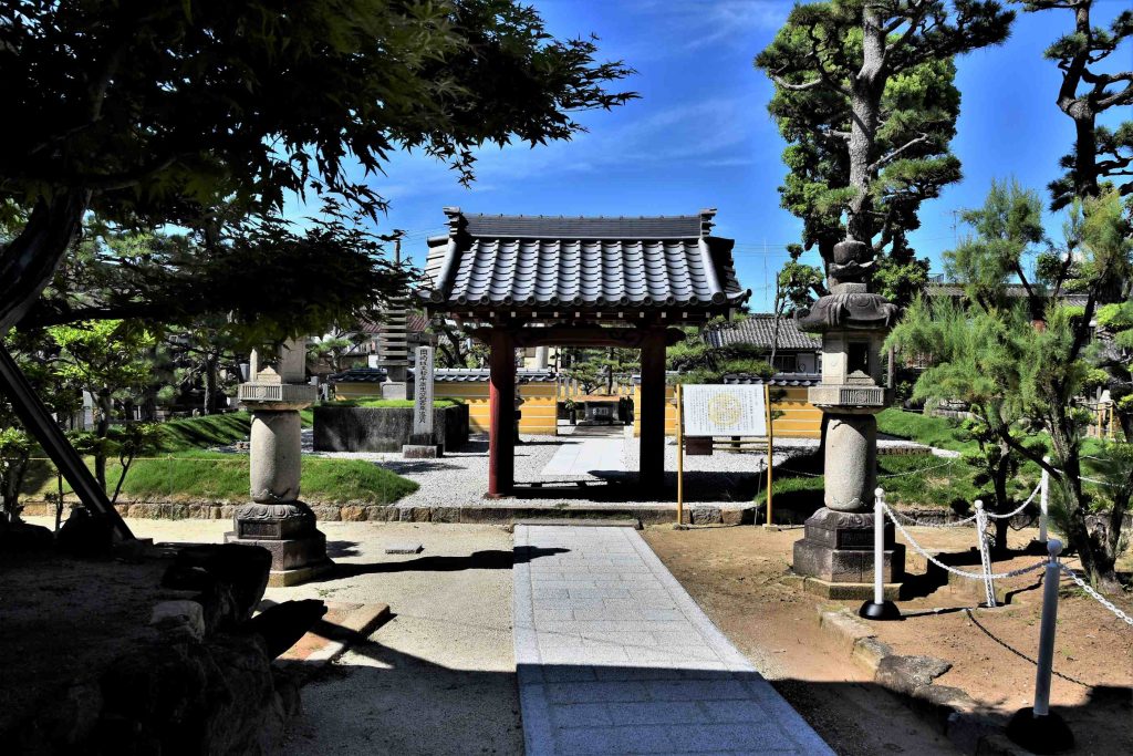 松平広忠の廟所松應寺に8歳の竹千代(家康)は松の木を植えた。