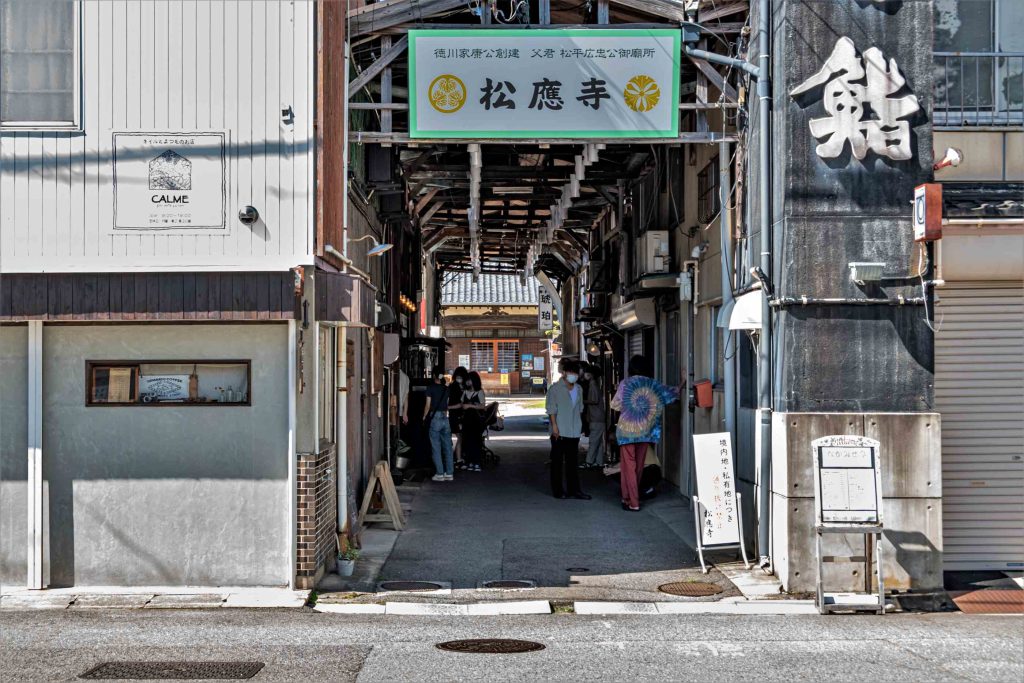 松平広忠の廟所松應寺に8歳の竹千代(家康)は松の木を植えた。