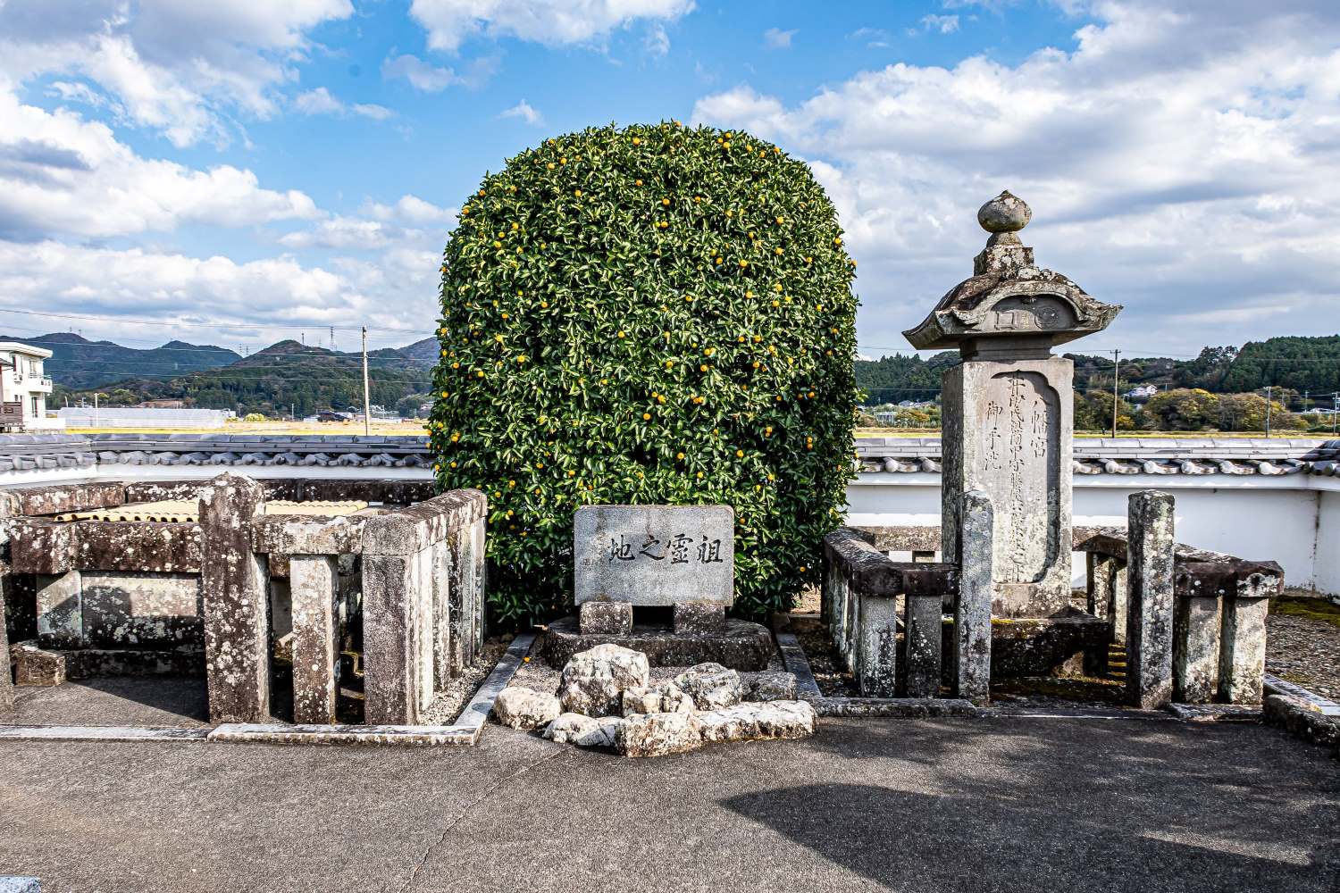 井伊直政は井伊谷生まれです。