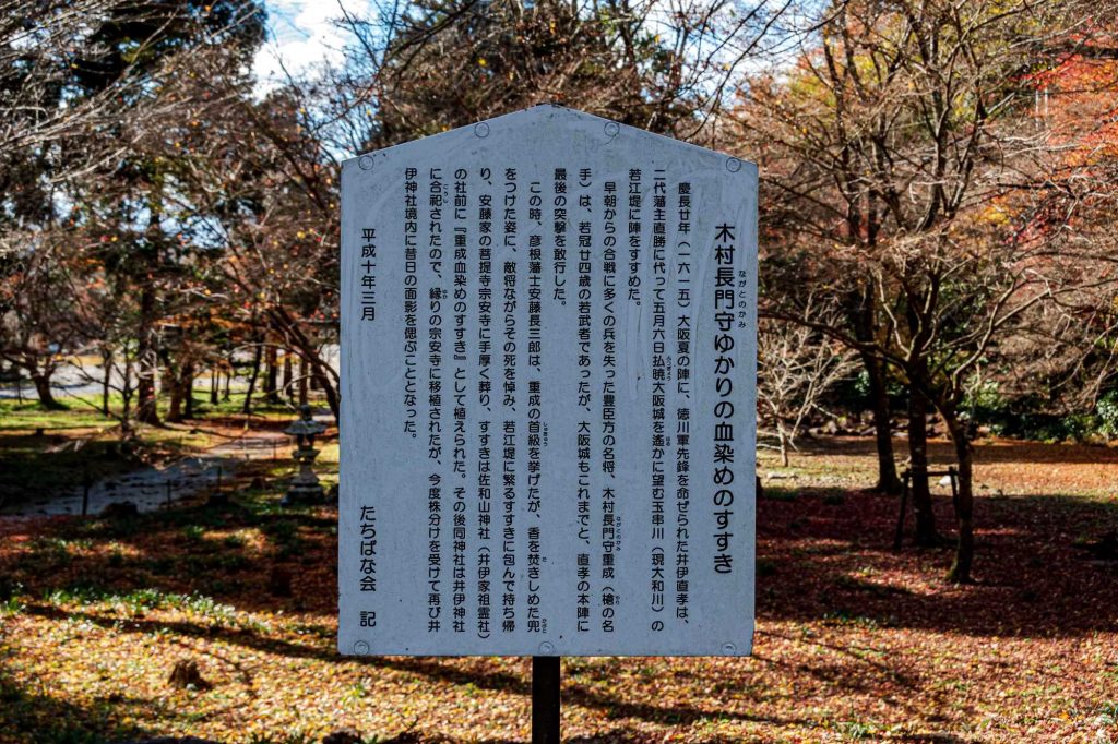 木村重成を包んだススキ