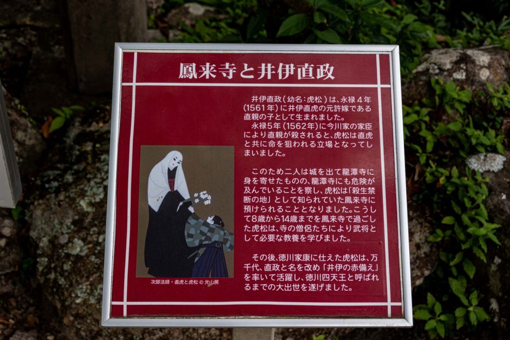 井伊直政は井伊谷生まれです。