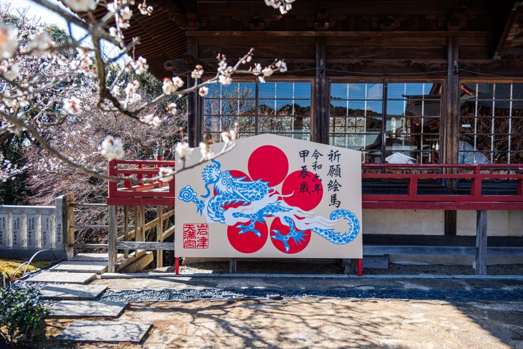 岩津天満宮の梅が開花した