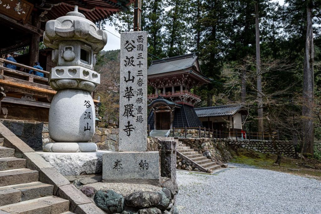 華厳寺は桜祭りで有名