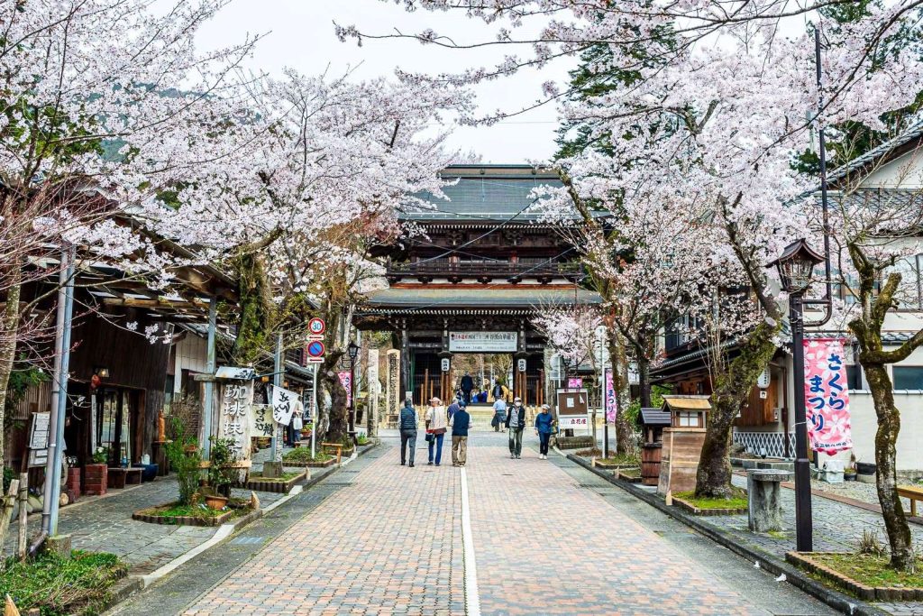 華厳寺は桜祭りで有名