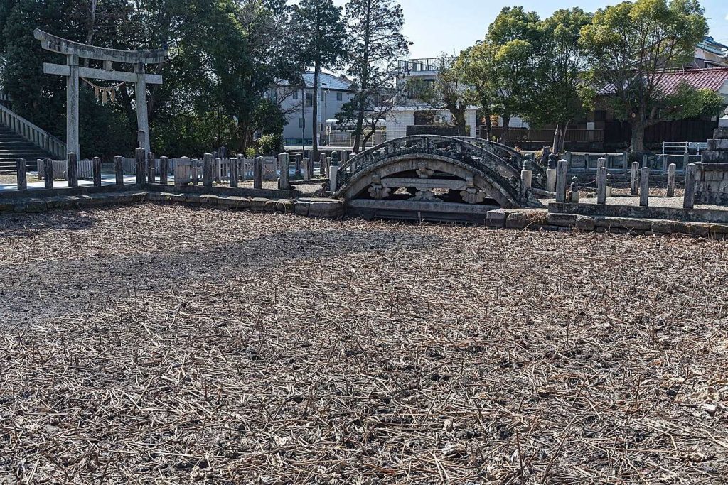 伊賀八幡宮蓮池