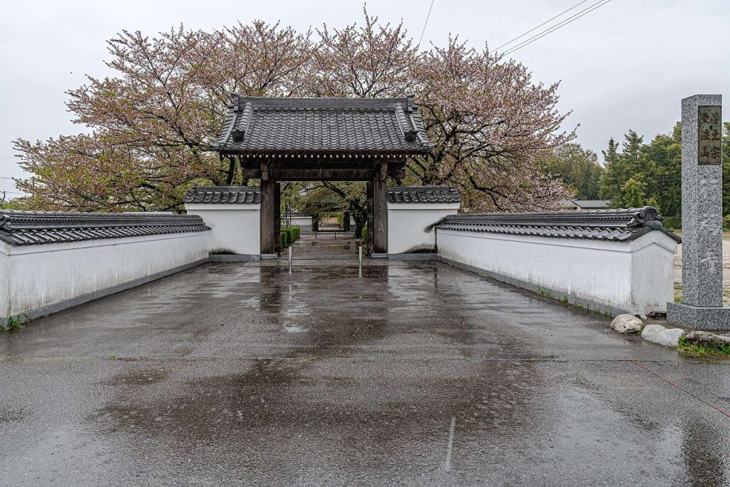 行福寺の桜が散ってしまった