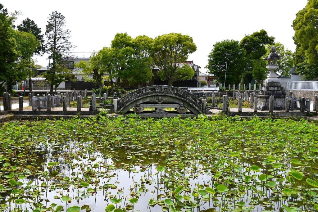 蓮池