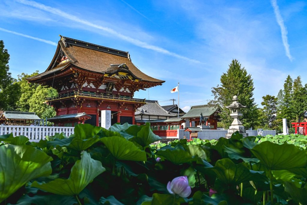 7月の伊賀八幡宮は一年のうちで一番美しい蓮の花の季節を迎えます