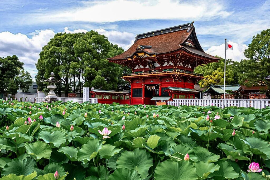 今、伊賀八幡宮は美しい季節を迎えています。