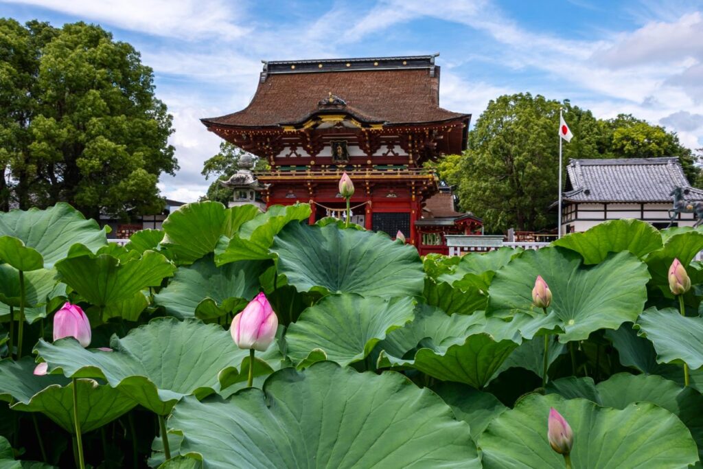 今、伊賀八幡宮は美しい季節を迎えています。